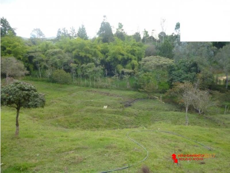 Finca en Venta en Hojas Anchas