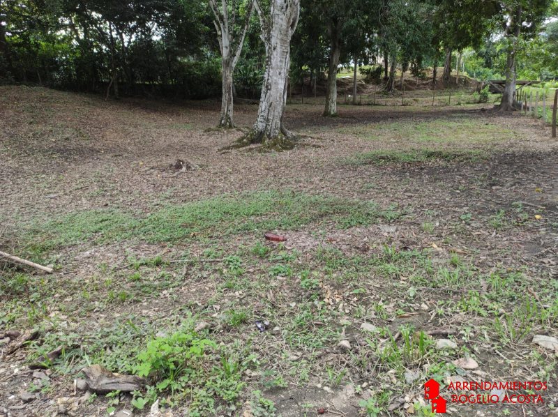 Terreno en Venta en Sopetran